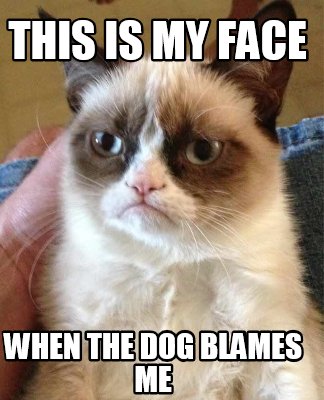 this-is-my-face-when-the-dog-blames-me
