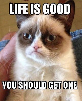 life-is-good-you-should-get-one