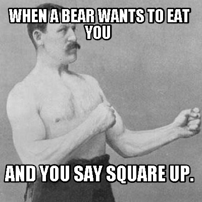 when-a-bear-wants-to-eat-you-and-you-say-square-up
