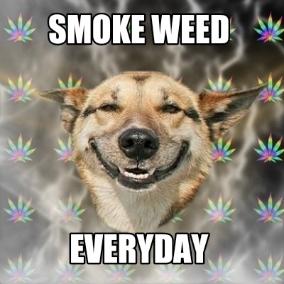 smoke-weed-everyday3