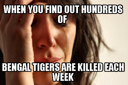 when-you-find-out-hundreds-of-bengal-tigers-are-killed-each-week