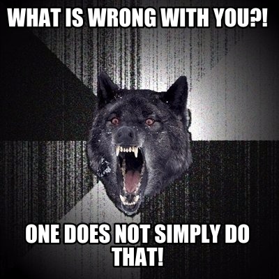 what-is-wrong-with-you-one-does-not-simply-do-that