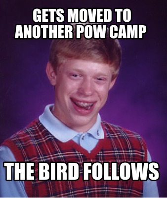 gets-moved-to-another-pow-camp-the-bird-follows
