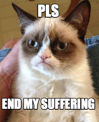 pls-end-my-suffering