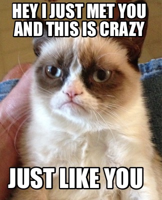 hey-i-just-met-you-and-this-is-crazy-just-like-you