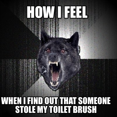 how-i-feel-when-i-find-out-that-someone-stole-my-toilet-brush