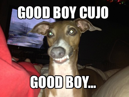 good-boy-cujo-good-boy