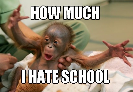how-much-i-hate-school