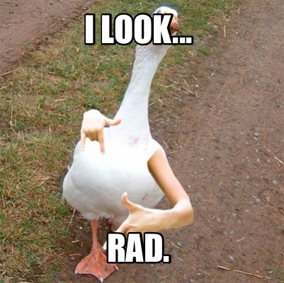 i-look...-rad