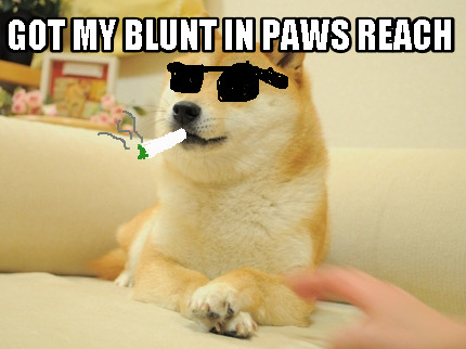 got-my-blunt-in-paws-reach