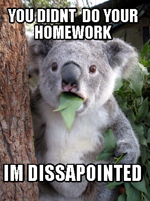 you-didnt-do-your-homework-im-dissapointed