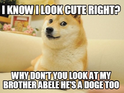 i-know-i-look-cute-right-why-dont-you-look-at-my-brother-abele-hes-a-doge-too