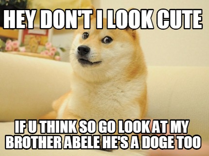 hey-dont-i-look-cute-if-u-think-so-go-look-at-my-brother-abele-hes-a-doge-too