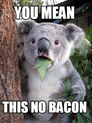 you-mean-this-no-bacon