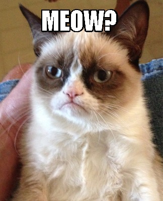 meow