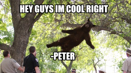 hey-guys-im-cool-right-peter