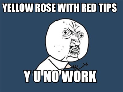 yellow-rose-with-red-tips-y-u-no-work