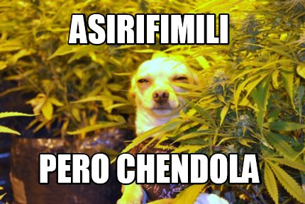 asirifimili-pero-chendola