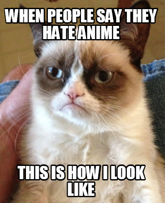 when-people-say-they-hate-anime-this-is-how-i-look-like