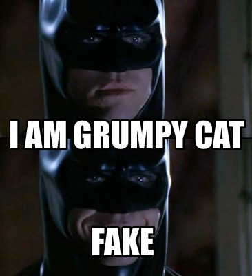i-am-grumpy-cat-fake