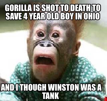 gorilla-is-shot-to-death-to-save-4-year-old-boy-in-ohio-and-i-though-winston-was