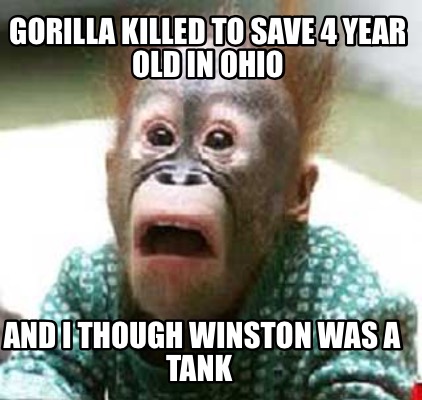 gorilla-killed-to-save-4-year-old-in-ohio-and-i-though-winston-was-a-tank