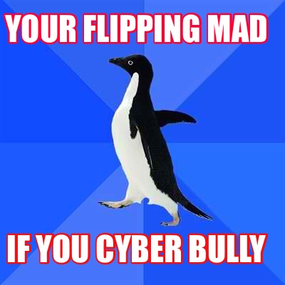 your-flipping-mad-if-you-cyber-bully