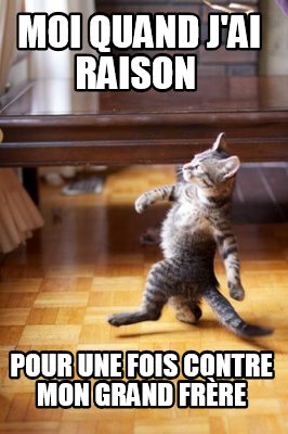 moi-quand-jai-raison-pour-une-fois-contre-mon-grand-frre