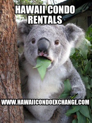 hawaii-condo-rentals-www.hawaiicondoexchange.com