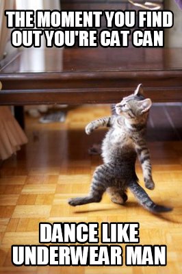 the-moment-you-find-out-youre-cat-can-dance-like-underwear-man