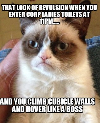 that-look-of-revulsion-when-you-enter-corp-ladies-toilets-at-11pm.....-and-you-c