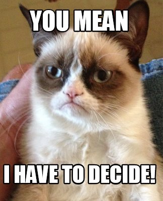 you-mean-i-have-to-decide