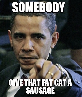 somebody-give-that-fat-cat-a-sausage