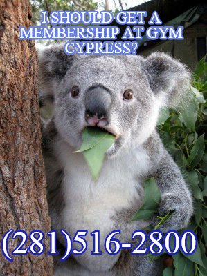 i-should-get-a-membership-at-gym-cypress-281516-2800