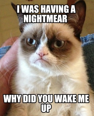 i-was-having-a-nightmear-why-did-you-wake-me-up