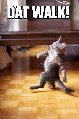 dat-walk