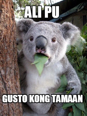 ali-pu-gusto-kong-tamaan