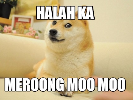 halah-ka-meroong-moo-moo