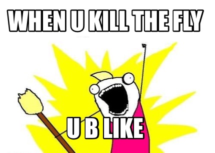 when-u-kill-the-fly-u-b-like