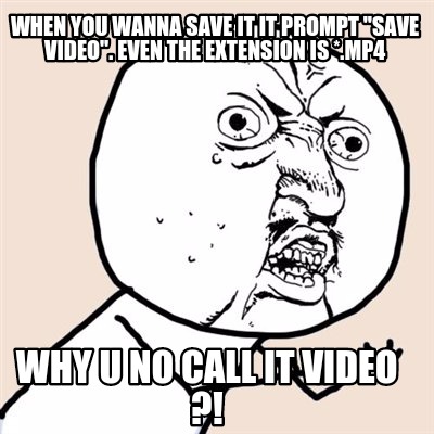 when-you-wanna-save-it-it-prompt-save-video.-even-the-extension-is-.mp4-why-u-no