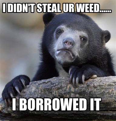 i-didnt-steal-ur-weed......-i-borrowed-it