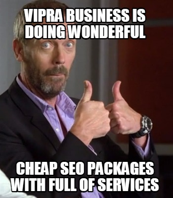 vipra-business-is-doing-wonderful-cheap-seo-packages-with-full-of-services