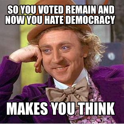so-you-voted-remain-and-now-you-hate-democracy-makes-you-think