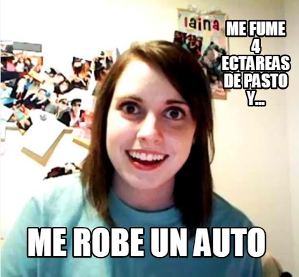 me-fume-4-ectareas-de-pasto-y...-me-robe-un-auto