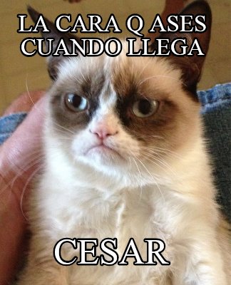 la-cara-q-ases-cuando-llega-cesar