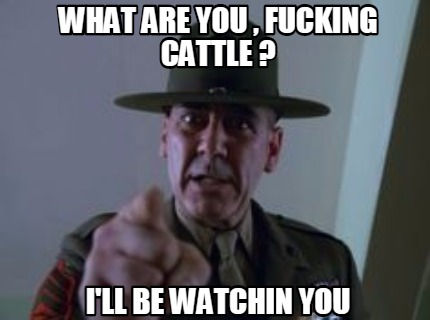 what-are-you-fucking-cattle-ill-be-watchin-you