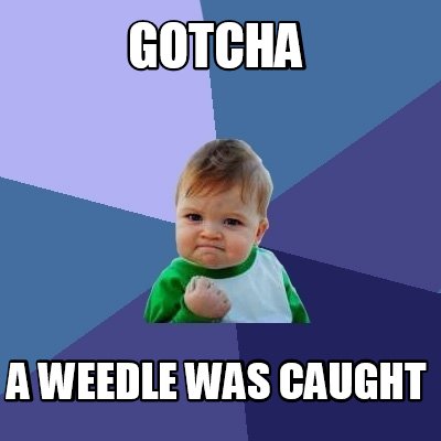 gotcha-a-weedle-was-caught