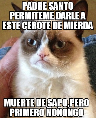 padre-santo-permiteme-darle-a-este-cerote-de-mierda-muerte-de-sapopero-primero-o