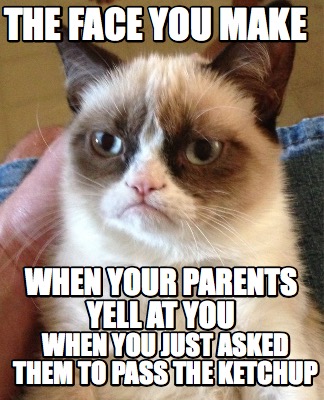 the-face-you-make-when-you-just-asked-them-to-pass-the-ketchup-when-your-parents