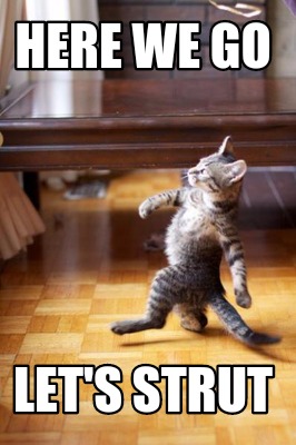 here-we-go-lets-strut
